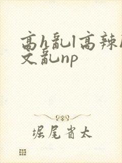 高h乱l高辣h文乱np