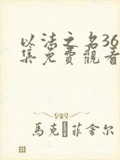 以法之名36全集免费观看