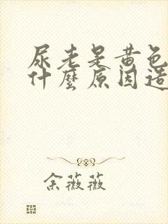 尿老是黄色的是什么原因造成的封面