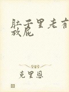 肚子里老有气老放屁