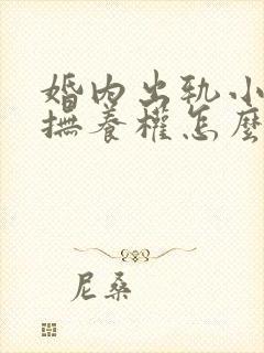 婚内出轨小孩子抚养权怎么判定封面