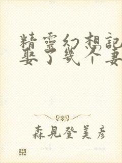 精灵幻想记原著娶了几个妻子