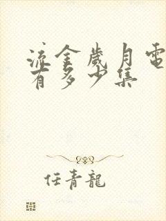 流金岁月电视剧有多少集