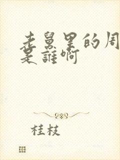 老舅里的周小姐是谁啊