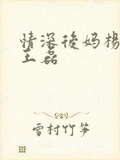 情深后妈杨晓芬王磊封面