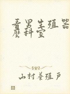 看男生殖器挂什么科室