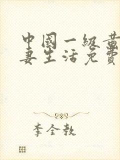 中国一级黄色夫妻生活免费录像