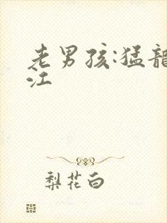 老男孩:猛龙过江