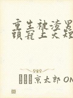 重生被渣男死对头宠上天短剧76~90封面