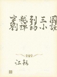 穿越到三国变为刘禅的小说封面