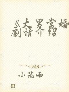 《大男当婚2》剧情介绍封面