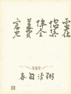 完美伴侣电视剧免费全集在线观看