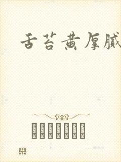 舌苔黄厚腻口苦