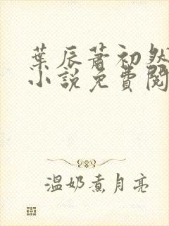 叶辰萧初然长篇小说免费阅读