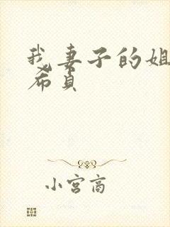 我妻子的姐姐金希贞封面
