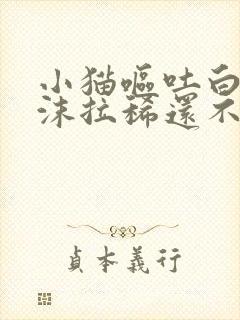 小猫呕吐白色泡沫拉稀还不吃