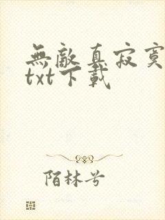 无敌真寂寞完本txt下载