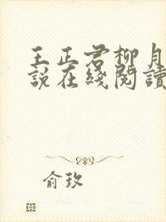 王正君柳月瑶小说在线阅读全文