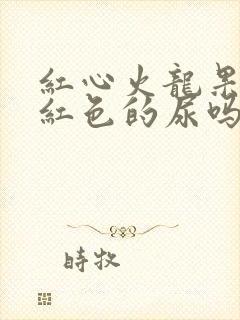 红心火龙果会尿红色的尿吗封面