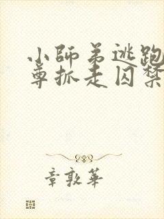 小师弟逃跑被师尊抓走囚禁逃跑的小封面