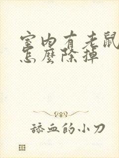 室内有老鼠尿味怎么除掉