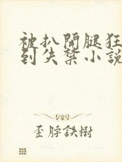 被扒开腿狂躁c到失禁小说