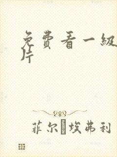 免费看一级人妻片