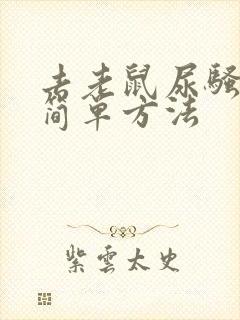 去老鼠尿骚味最简单方法