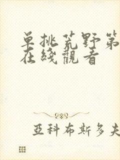 单挑荒野第一季在线观看