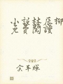 小说林辰柳扶鸾免费阅读封面