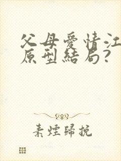 父母爱情江亚菲原型结局?封面