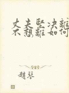 丈夫坚决离婚我不想离如何对付