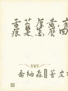 舌苔厚黄,有齿痕是怎么回事