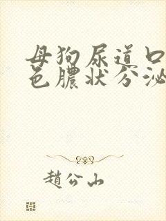 母狗尿道口有黄色脓状分泌物