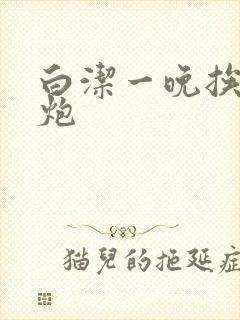 白洁一晚挨十二炮