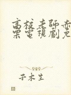 高校老师赤子板栗电视剧免费观看