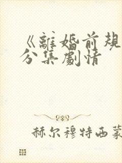 《离婚前规则》分集剧情