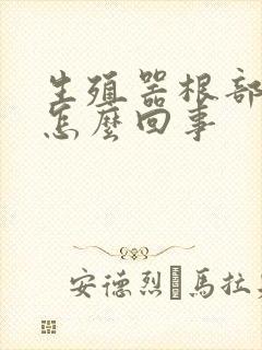 生殖器根部发痒怎么回事