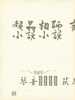 超品相师 有声小说小说