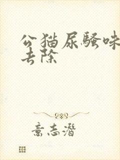 公猫尿骚味怎么去除