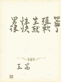 男性生殖器勃起很快就软了