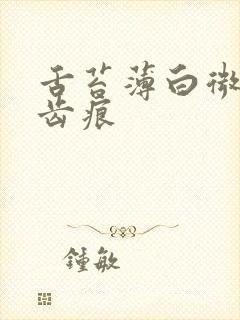 舌苔薄白微黄有齿痕