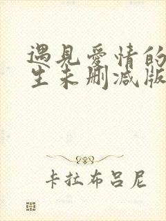 遇见爱情的利先生未删减版封面