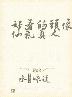 好看的头像女生仙气真人封面