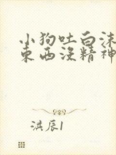 小狗吐白沫不吃东西没精神