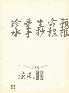 珍爱生命预防溺水手抄报框架