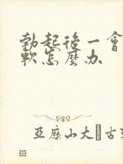 勃起后一会就疲软怎么办封面