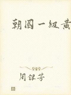 朝国一级黄色片