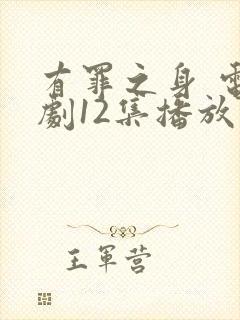 有罪之身 电视剧12集播放封面