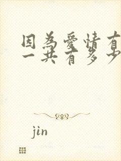 因为爱情有多美一共有多少集